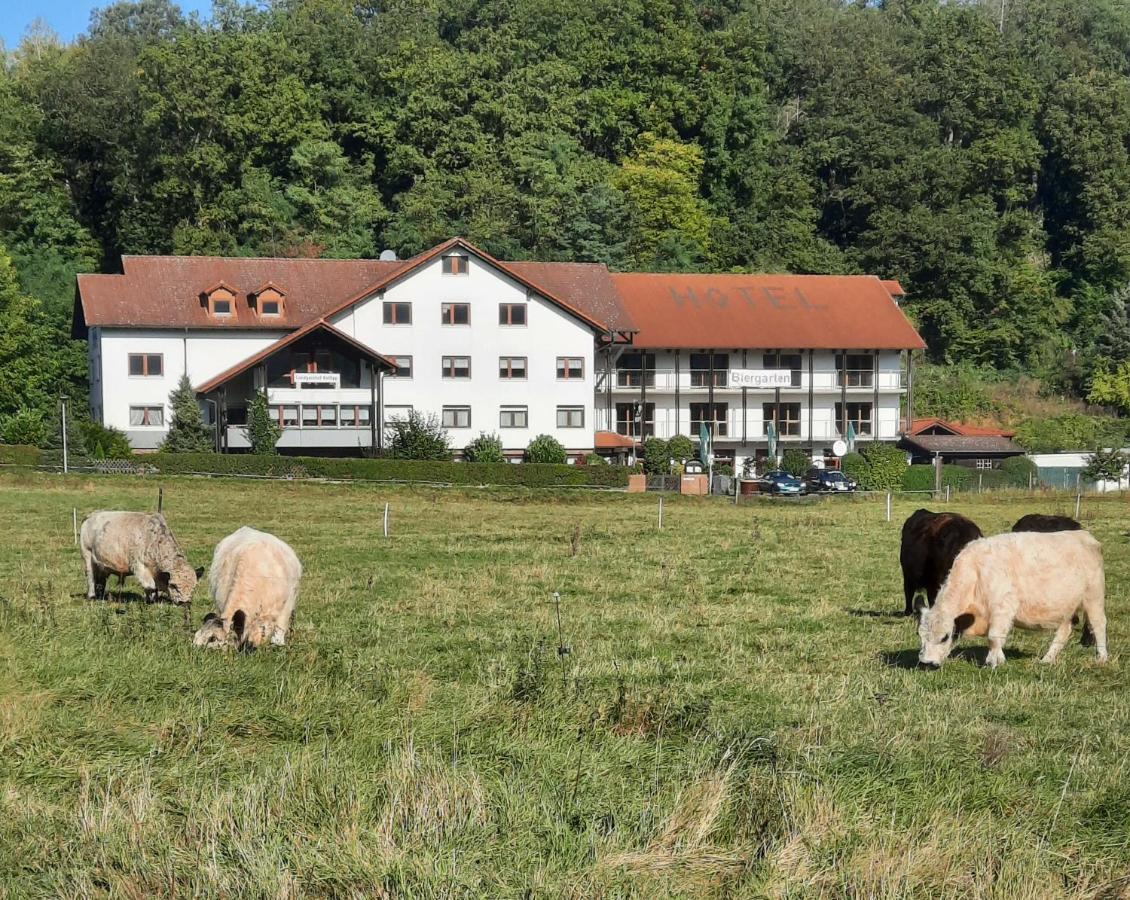Landgasthof Rotlipp Gaestezimmer Ortenberg  Kültér fotó