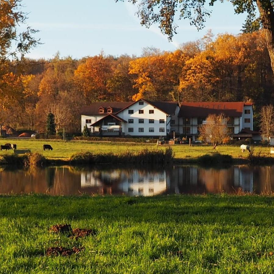 Landgasthof Rotlipp Gaestezimmer Ortenberg  Kültér fotó