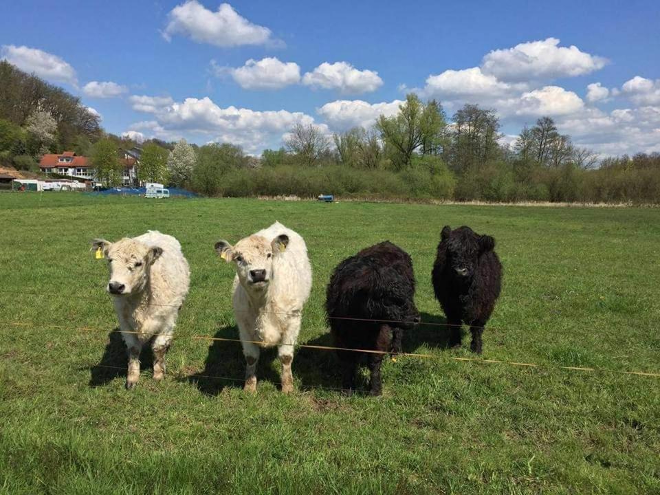 Landgasthof Rotlipp Gaestezimmer Ortenberg  Kültér fotó