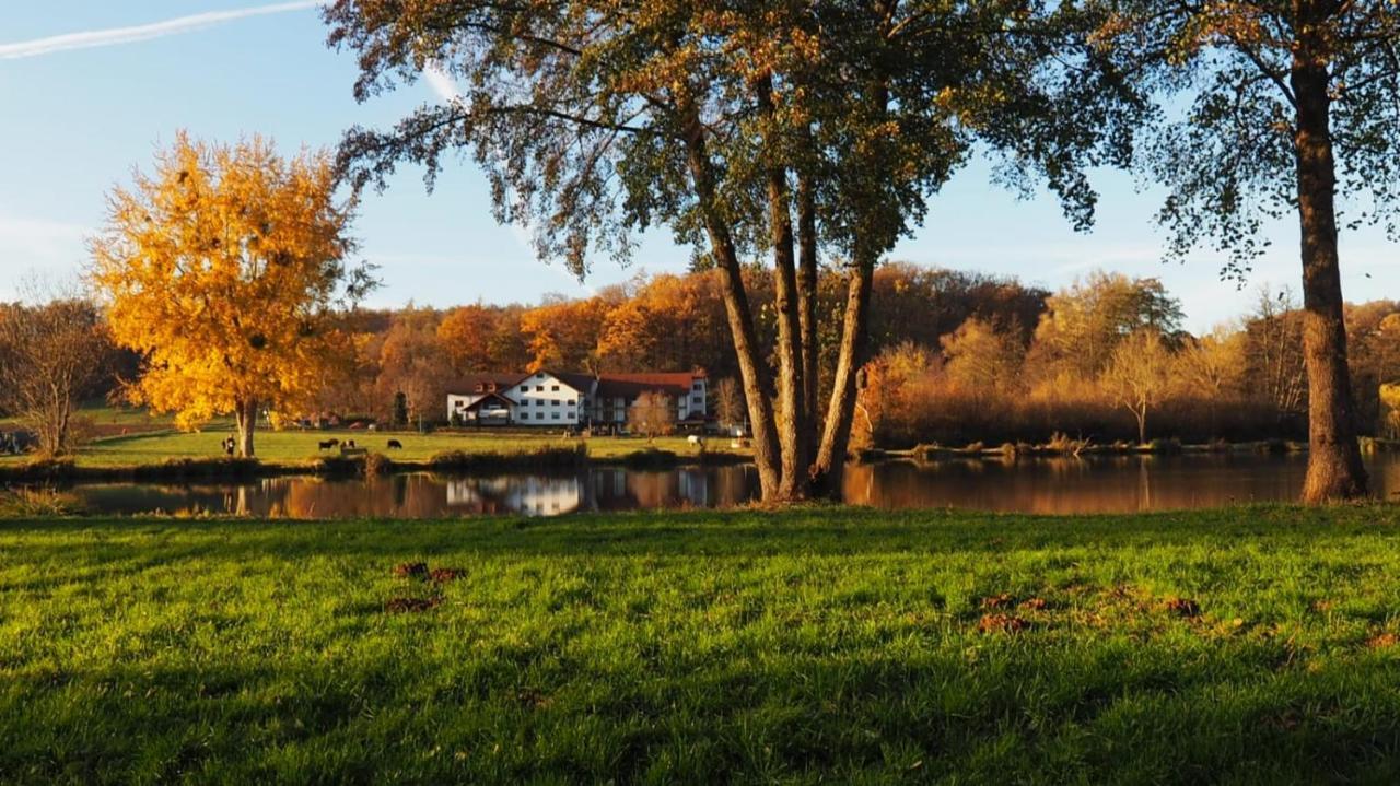 Landgasthof Rotlipp Gaestezimmer Ortenberg  Kültér fotó