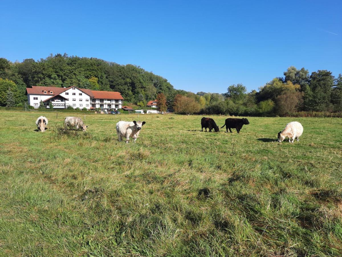 Landgasthof Rotlipp Gaestezimmer Ortenberg  Kültér fotó
