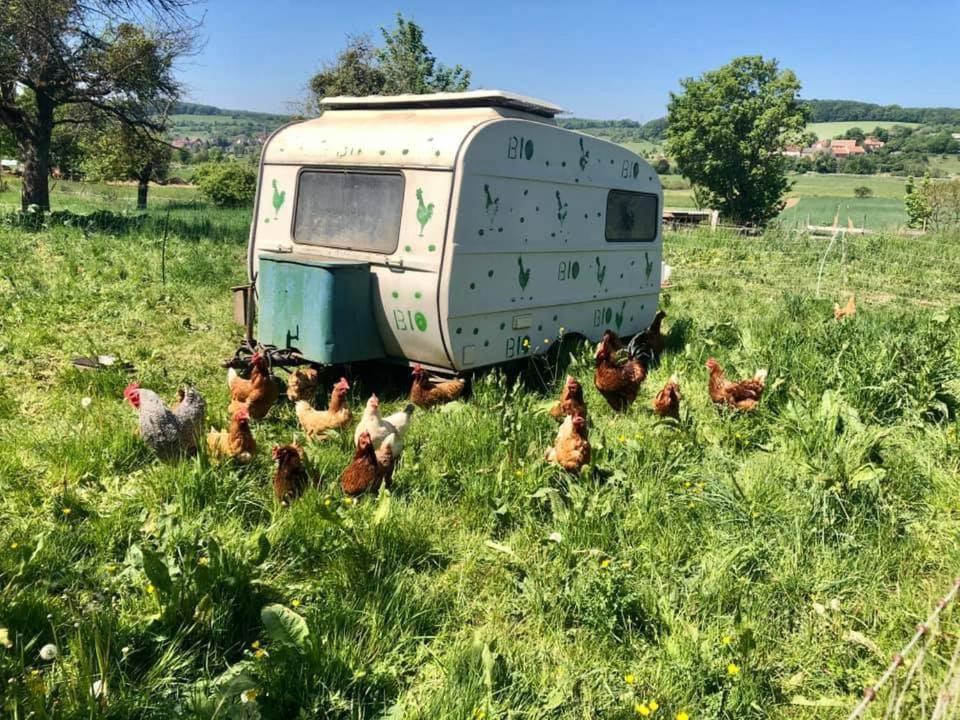 Landgasthof Rotlipp Gaestezimmer Ortenberg  Kültér fotó